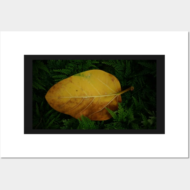 Yellow Leaf Wall Art by 1Redbublppasswo